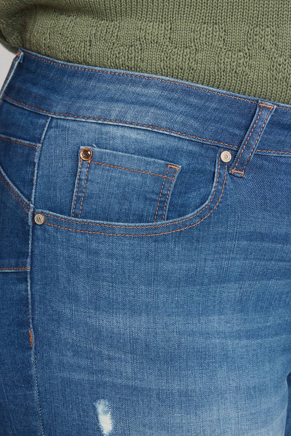 Curvy Distressed Ankle Skinny Jeans